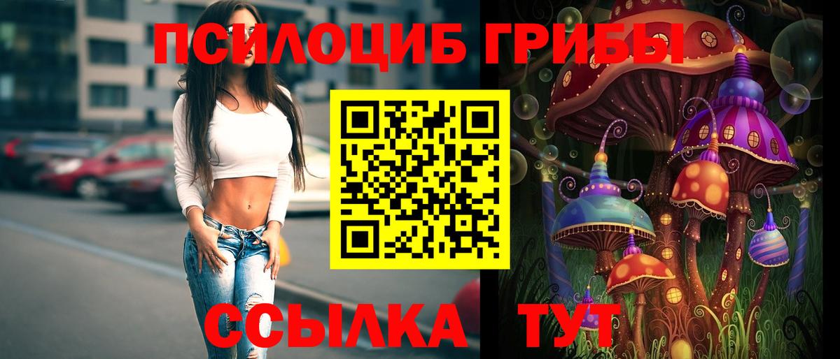 Нурлат  Псилоцибиновые грибы MAGIC MUSHROOMS  Вход с VPN 